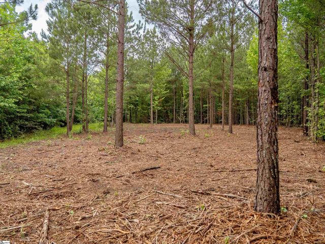 00 Terry Road Lot 4, Fountain Inn, SC 29644