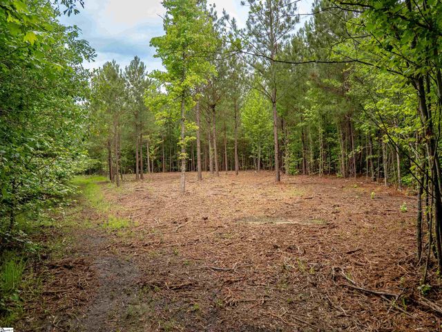 00 Terry Road Lot 4, Fountain Inn, SC 29644