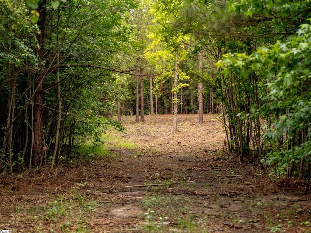 00 Terry Road Lot 4, Fountain Inn, SC 29644