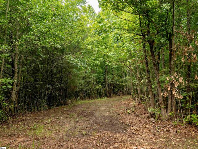 00 Terry Road Lot 4, Fountain Inn, SC 29644