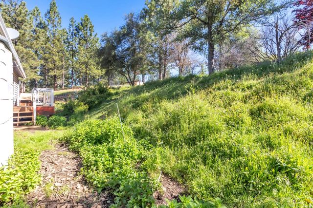 13890 Wilma Ct, Fiddletown, CA 95629