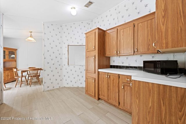 19961 Manecke Road, Brooksville, FL 34601