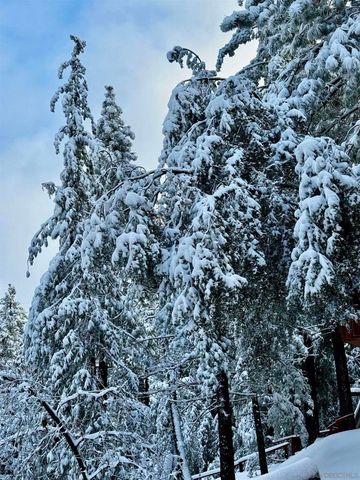 27720 Saunders Meadow Rd, Idyllwild, CA 92549
