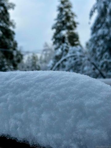 27720 Saunders Meadow Rd, Idyllwild, CA 92549