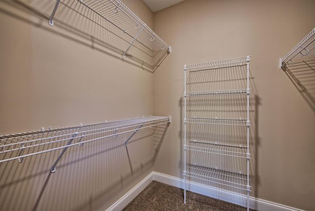 839 Shady Bluff Trail, Clarksville, TN 37043