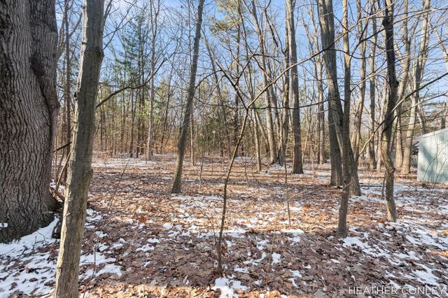 3125 River Bend Trail, Fennville, MI 49408