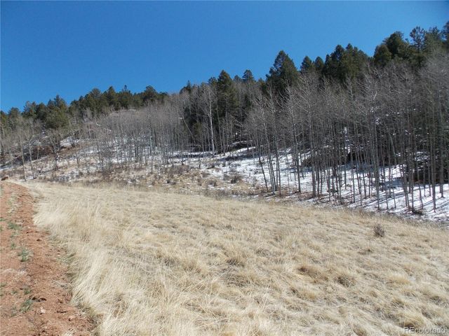 388 Grey Eagle Drive, Cripple Creek, CO 80813
