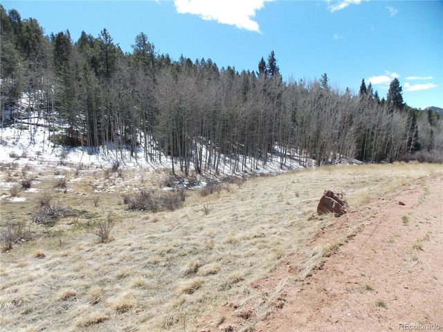 388 Grey Eagle Drive, Cripple Creek, CO 80813