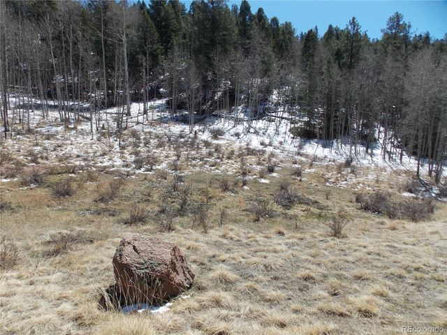 388 Grey Eagle Drive, Cripple Creek, CO 80813