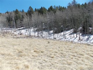 388 Grey Eagle Drive, Cripple Creek, CO 80813
