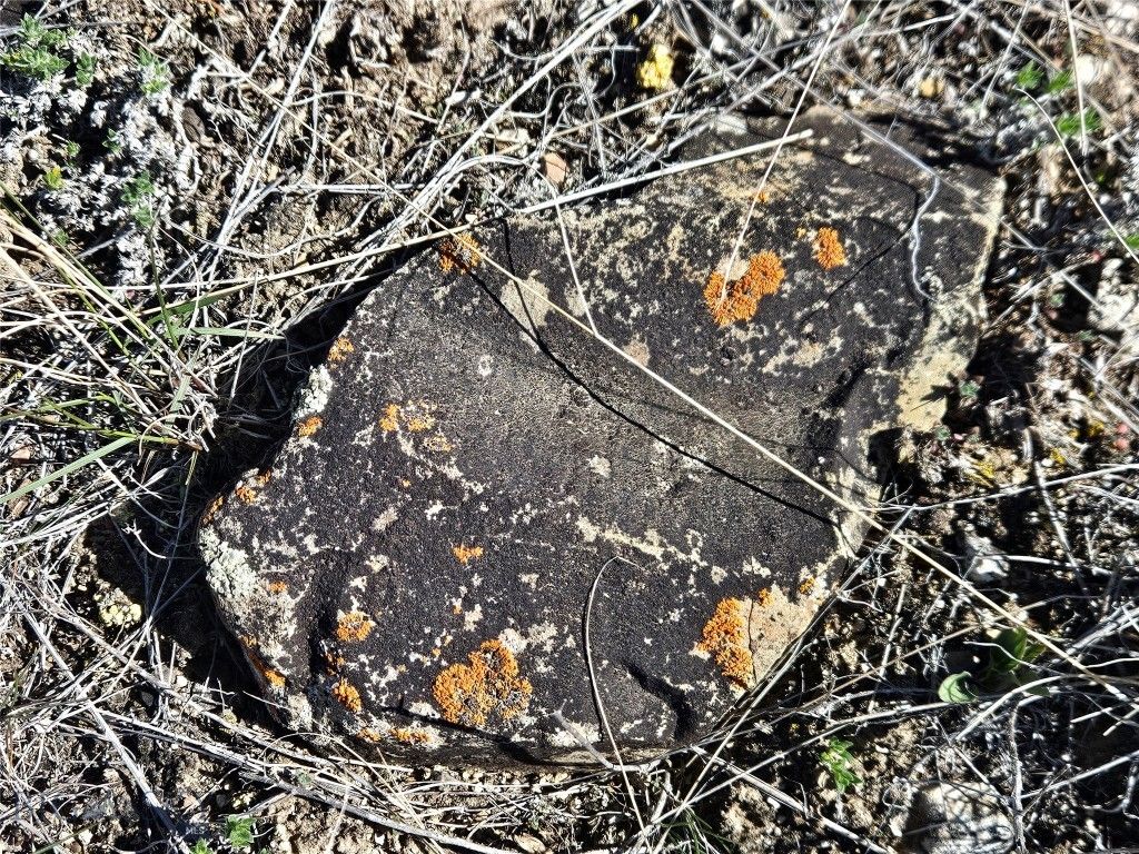 PP-666 Drake Road, Clarkston, MT 59752 photo 39