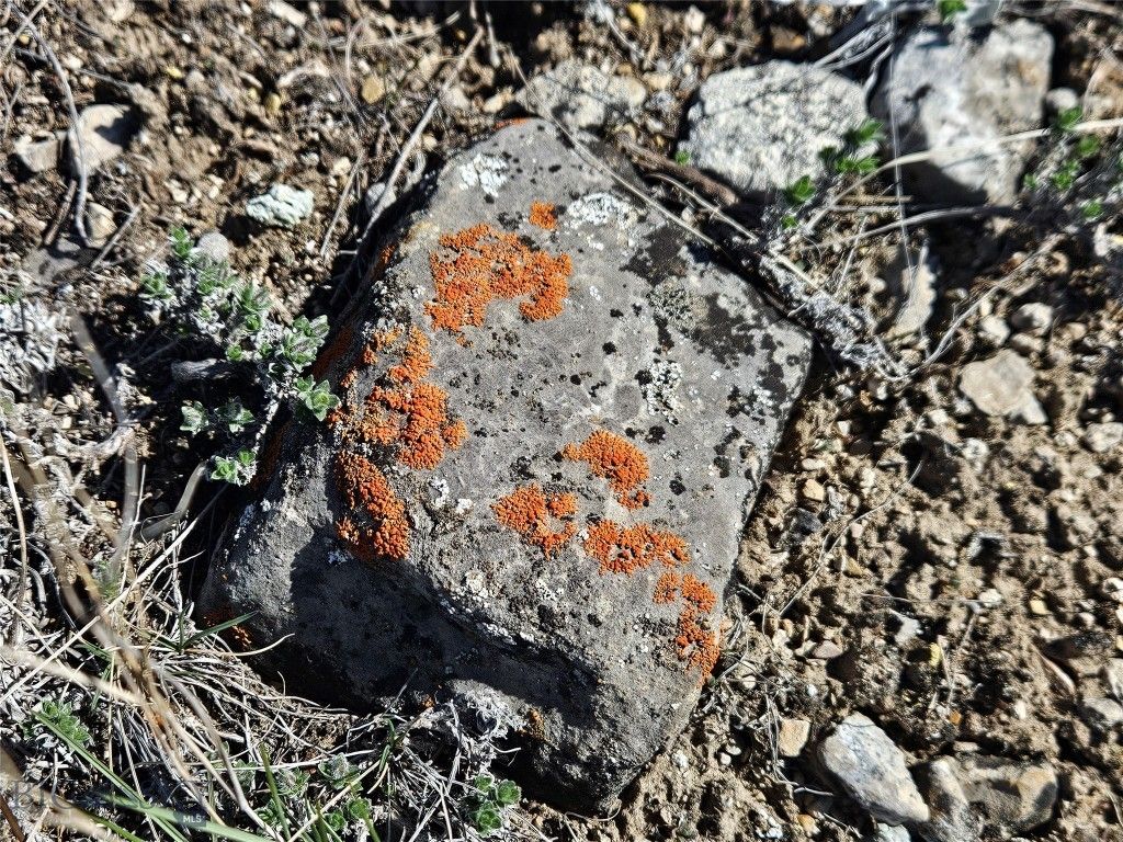 PP-666 Drake Road, Clarkston, MT 59752 photo 40