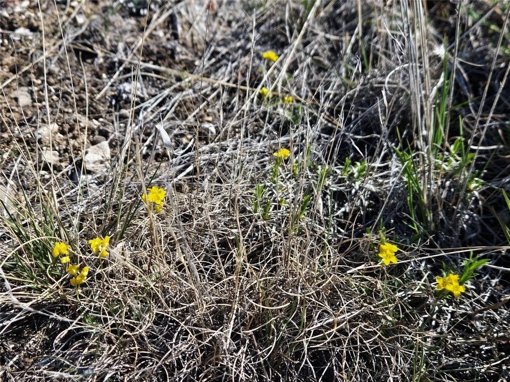 PP-666 Drake Road, Clarkston, MT 59752 photo 41