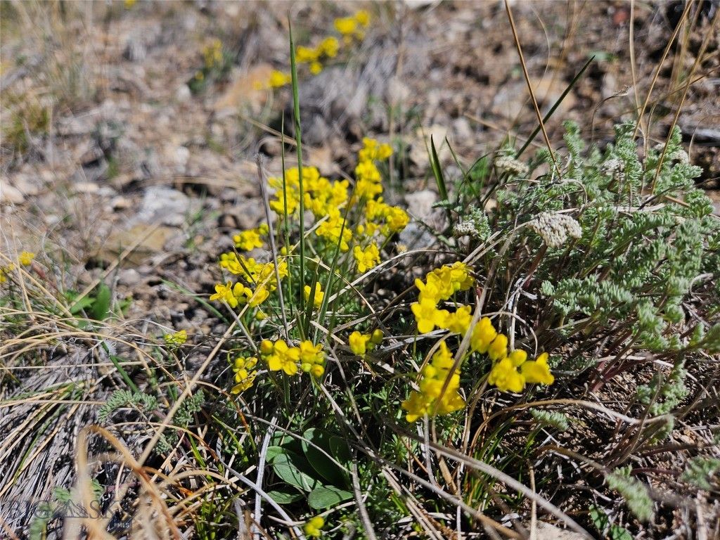 PP-666 Drake Road, Clarkston, MT 59752 photo 45