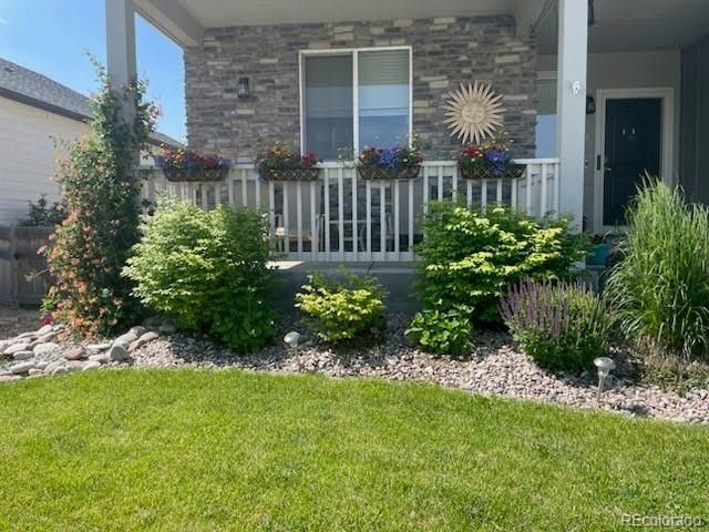 265 Hillspire Drive, Windsor, CO 80550