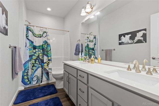 265 Hillspire Drive, Windsor, CO 80550