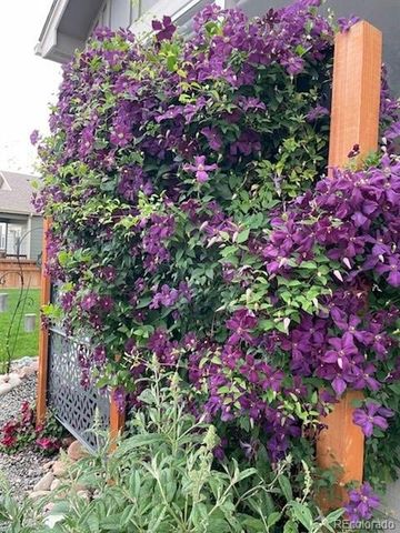 265 Hillspire Drive, Windsor, CO 80550