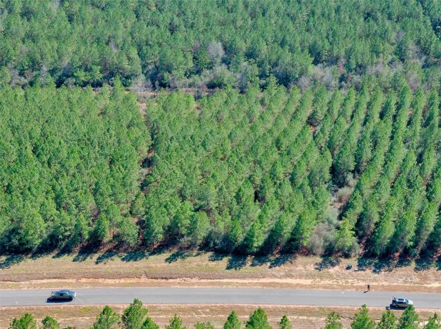 12642 Oak Barrel Road, Willis, TX 77378