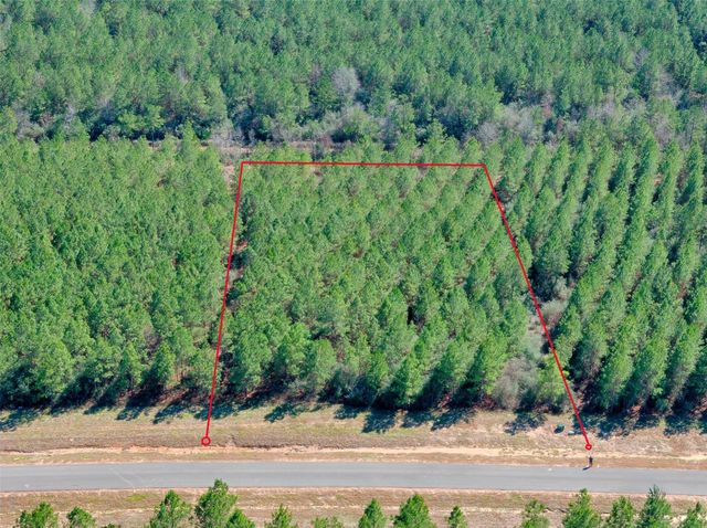12642 Oak Barrel Road, Willis, TX 77378