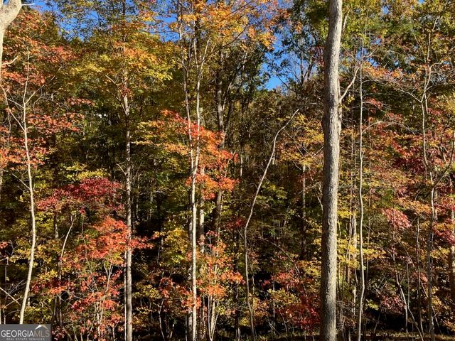 1415 Calhoun Road, Dahlonega, GA 30533