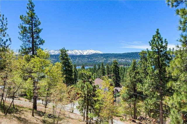 39576 Oak Glen Road, Fawnskin, CA 92333