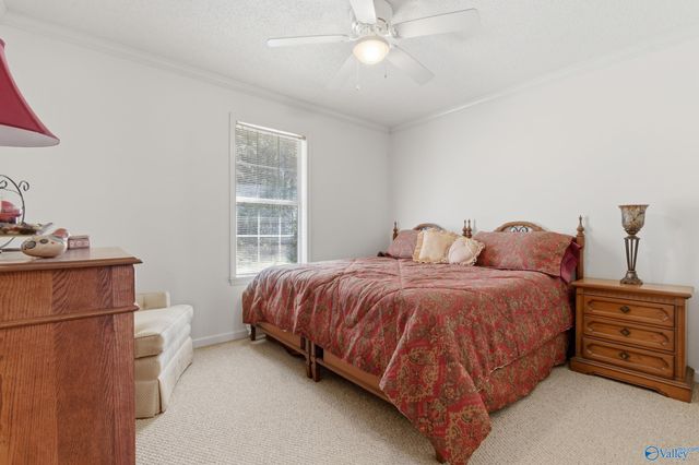 62 Clyde Circle, Guntersville, AL 35976