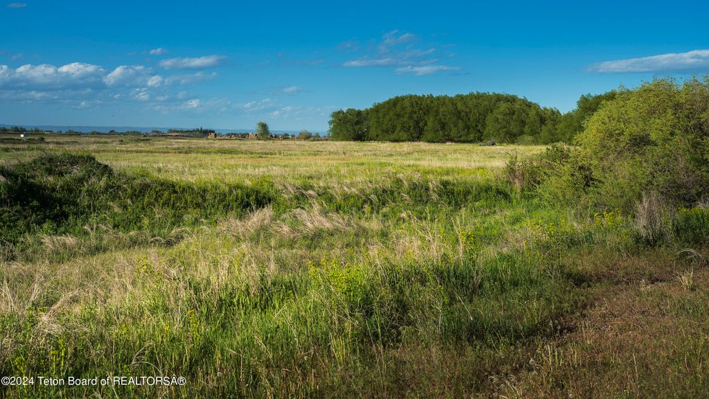 111.5 ACRES SUGAR CITY, Sugar City, ID 83448 photo 4