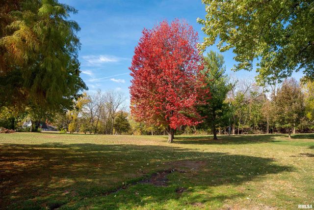 16103 E BLACKFOOT Drive, Cuba, IL 61427