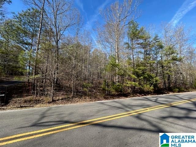 481 ANGEL DRIVE N, Jacksonville, AL 36265