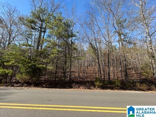 481 ANGEL DRIVE N, Jacksonville, AL 36265