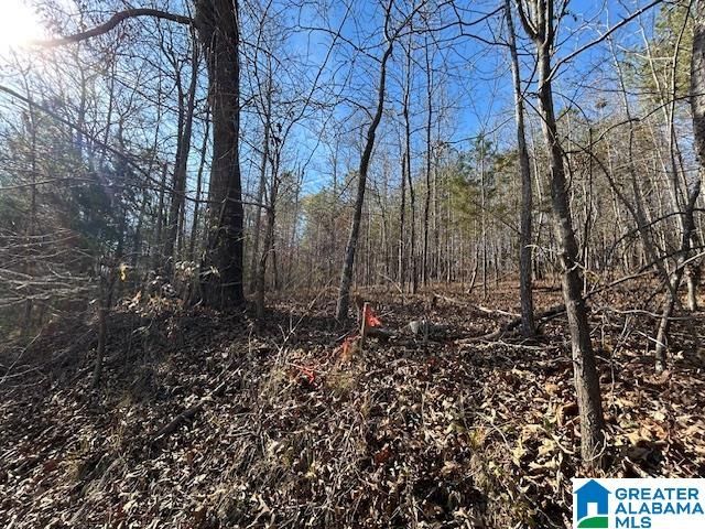 481 ANGEL DRIVE N, Jacksonville, AL 36265