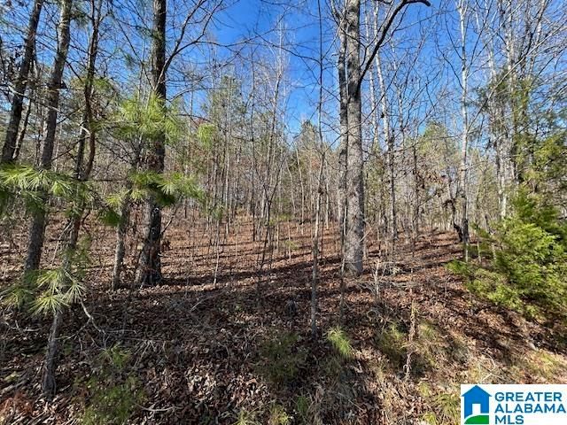 481 ANGEL DRIVE N, Jacksonville, AL 36265