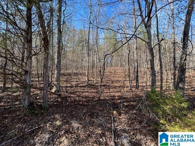 481 ANGEL DRIVE N, Jacksonville, AL 36265