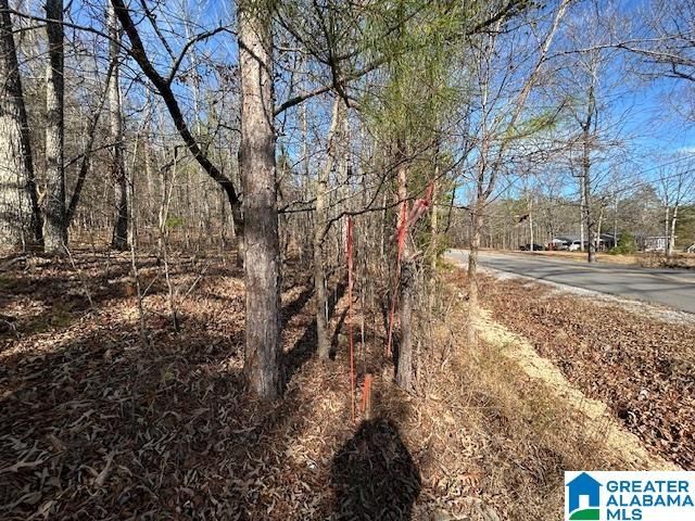 481 ANGEL DRIVE N, Jacksonville, AL 36265