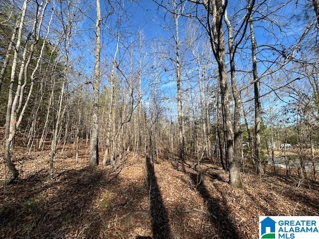 481 ANGEL DRIVE N, Jacksonville, AL 36265