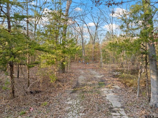 TBD CR 1468, Mt Pleasant, TX 75455
