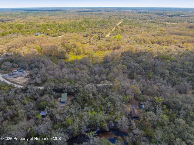 0 Smallman Street, Webster, FL 33597