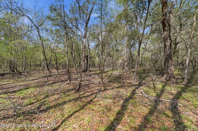 0 Smallman Street, Webster, FL 33597