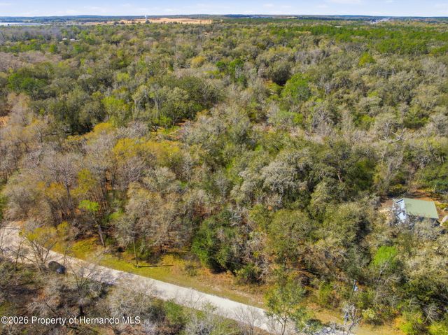 0 Smallman Street, Webster, FL 33597