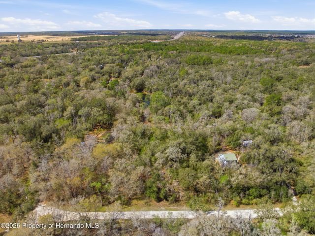 0 Smallman Street, Webster, FL 33597