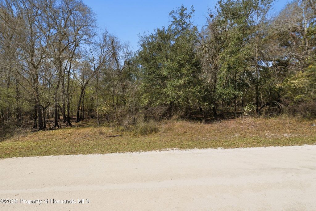 0 Smallman Street, Webster, FL 33597