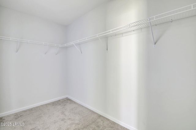 117 Teal Bluff Boulevard, Seabrook, SC 29940