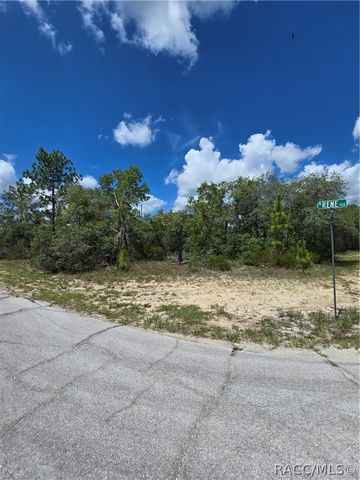 2942 W Dellwood Street, Dunnellon, FL 34433