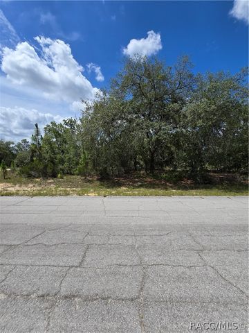 2942 W Dellwood Street, Dunnellon, FL 34433