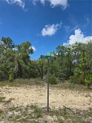 2942 W Dellwood Street, Dunnellon, FL 34433