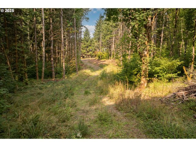 11975 Se ZION HILL Dr, Damascus, OR 97089