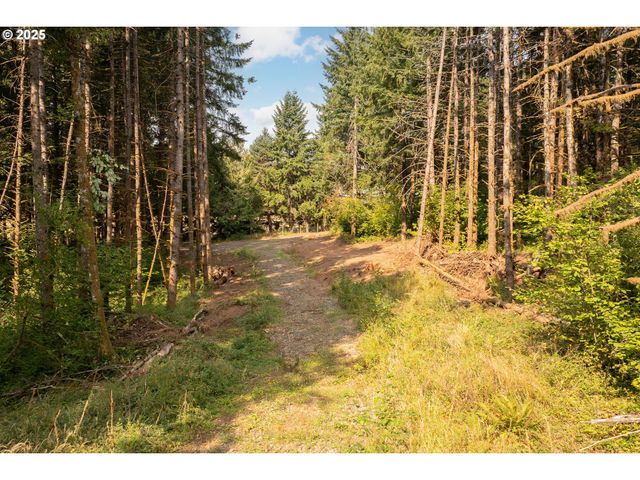 11975 Se ZION HILL Dr, Damascus, OR 97089