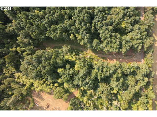 11975 Se ZION HILL Dr, Damascus, OR 97089