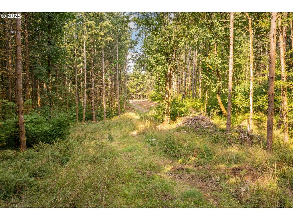 11975 Se ZION HILL Dr, Damascus, OR 97089