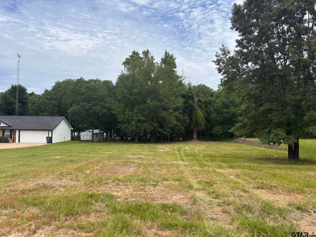 TBD CR 1503, Alba, TX 75410